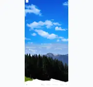 Kleine Seitenvorschau von brauchtumportal.de