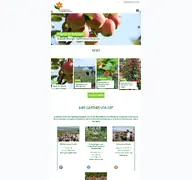 Kleine Seitenvorschau von gartenbau-bb.de