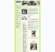 Kleine Seitenvorschau von hundehoffnung-ukraine.de