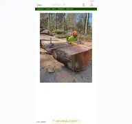 Kleine Seitenvorschau von kettensaegewerk.ch
