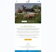 Kleine Seitenvorschau von nengshof.de