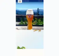 Kleine Seitenvorschau von unertl.de