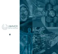 Kleine Seitenvorschau von unfallanalyse-ammer.de