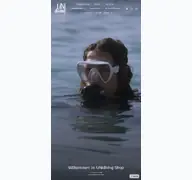 Kleine Seitenvorschau von unidiving.de