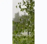 Kleine Seitenvorschau von bergwies-biokaeserei.de
