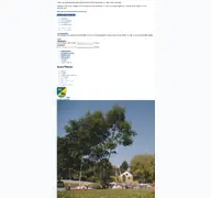 Kleine Seitenvorschau von schleswig-flensburg.de
