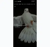Kleine Seitenvorschau von worldwidewings.de