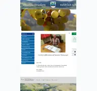 Kleine Seitenvorschau von briedern.de