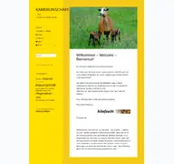 Kleine Seitenvorschau von kamerunschaf.de