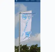 Kleine Seitenvorschau von tsv-amshausen.de
