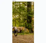 Kleine Seitenvorschau von urban-fahrradbau.de