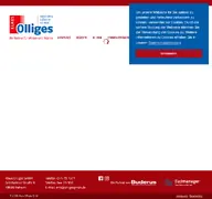 Kleine Seitenvorschau von olligesgmbh.de