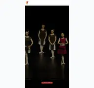 Kleine Seitenvorschau von academie-de-danse.de