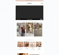 Kleine Seitenvorschau von mysnuggli.de