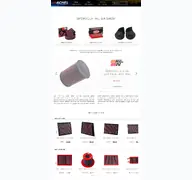 Kleine Seitenvorschau von sportluftfilter-shop.de