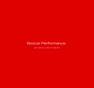 Kleine Seitenvorschau von bozcar-performance.de