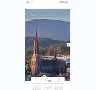 Kleine Seitenvorschau von stadtwerke-zwiesel.de