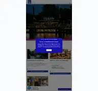 Kleine Seitenvorschau von vanloon.de