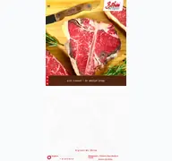 Kleine Seitenvorschau von metzger-boehm.de