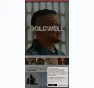 Kleine Seitenvorschau von goldwell.ch