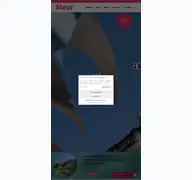 Kleine Seitenvorschau von steyr.at