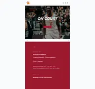 Kleine Seitenvorschau von niners-fanshop.de