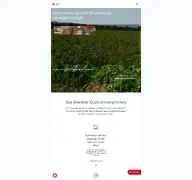 Kleine Seitenvorschau von brueckner-werke.de