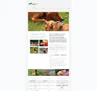 Kleine Seitenvorschau von hundezucht-hermanns.de