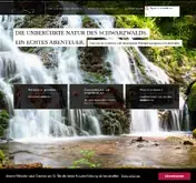 Kleine Seitenvorschau von doettelbachermuehle.de