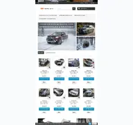 Kleine Seitenvorschau von auto-bra.de