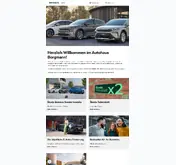 Kleine Seitenvorschau von autohausborgmann.skoda-auto.de