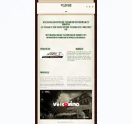 Kleine Seitenvorschau von velowino.de