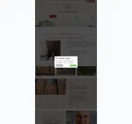Kleine Seitenvorschau von loewenstein.de
