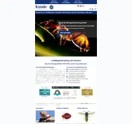 Kleine Seitenvorschau von kaiser-sbk.de