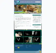 Kleine Seitenvorschau von fledermaus-bayern.de