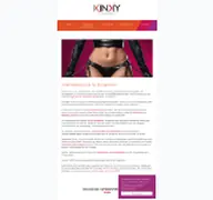 Kleine Seitenvorschau von kinkycompany.de