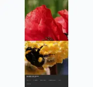 Kleine Seitenvorschau von blumen-natur.de