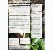 Kleine Seitenvorschau von losung.ch