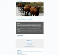 Kleine Seitenvorschau von vetsforlife.de