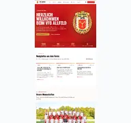 Kleine Seitenvorschau von vfb-allfeld.de