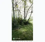 Kleine Seitenvorschau von e-walking.de