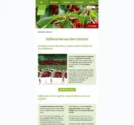 Kleine Seitenvorschau von kirschen-hirschberger.de