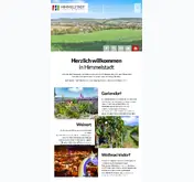 Kleine Seitenvorschau von himmelstadt.de