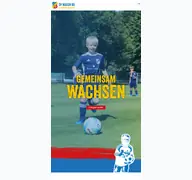 Kleine Seitenvorschau von sv-waren-09.de
