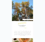 Kleine Seitenvorschau von zimdars-campingresort.de