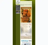Kleine Seitenvorschau von kjv-guestrow.de