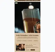 Kleine Seitenvorschau von vielanker.de