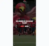 Kleine Seitenvorschau von cologne-falcons.de