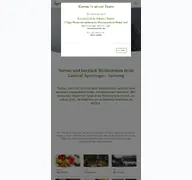 Kleine Seitenvorschau von spetzinger.de