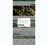 Kleine Seitenvorschau von compo-gartenpflege.de